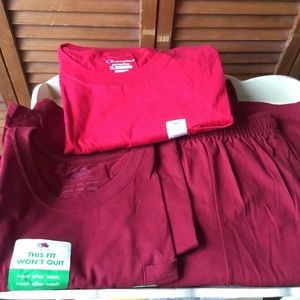 (3) ITEMS MENS SIZE 3X 2 T-SHIRTS 1 SHORTS FRUIT OF THE LOOM CHAMPION NEW UNUSED